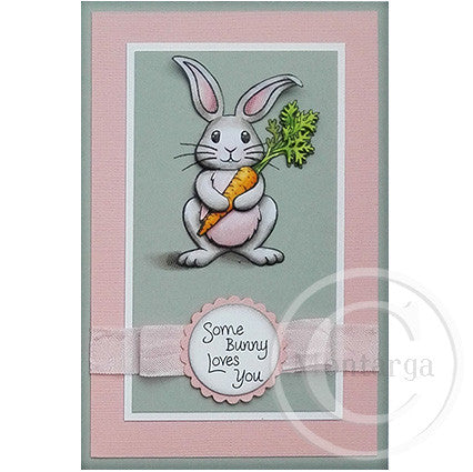 2844 A - Some Bunny Rubber Stamp