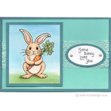 2844 A - Some Bunny Rubber Stamp