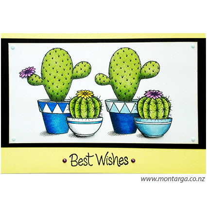 Card Sample - Cactus Group