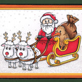 Card Sample - Kiwi and Santa in Sleigh