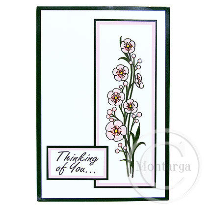 Greeting Cards 10pk - White