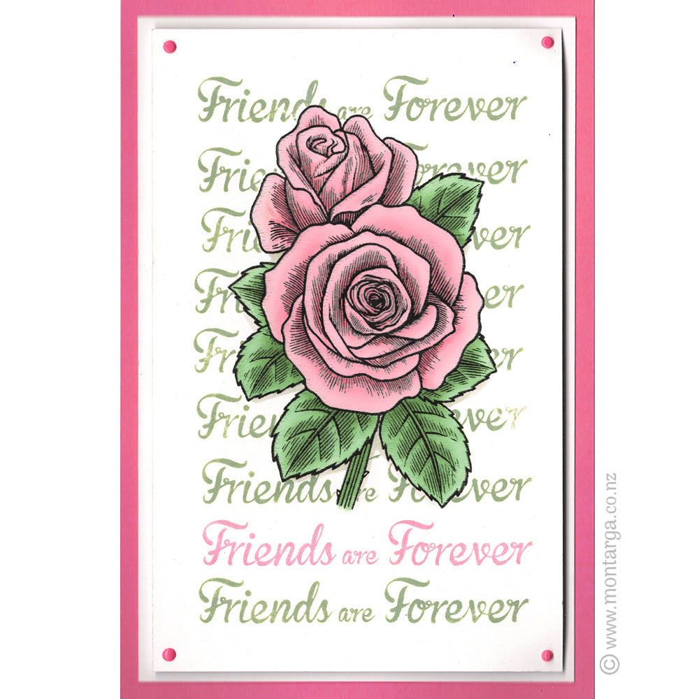 2836 BB - Friends are Forever Wording Rubber Stamp