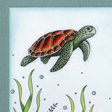 Card Sample - Sea Turtle