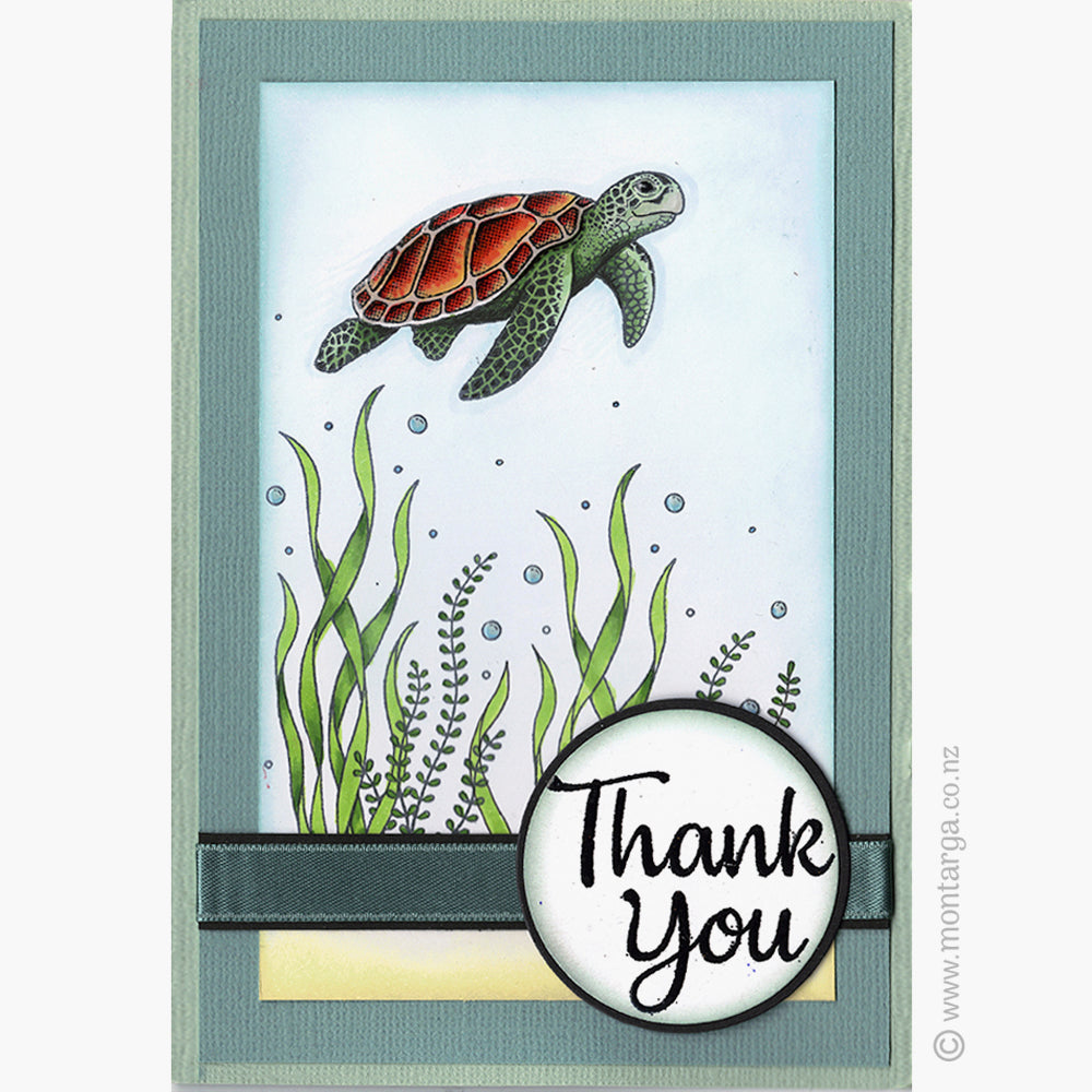 Card Sample - Sea Turtle