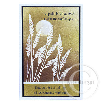 0193 E - Special Birthday Wish Wording Rubber Stamp