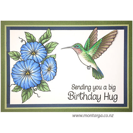 3948 BB - Sending You a Big Birthday Hug Rubber Stamp
