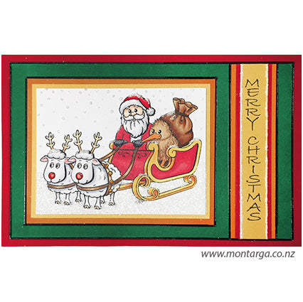 Card Sample - Kiwi and Santa in Sleigh
